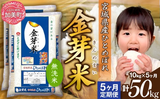 【定期便 5回】 金芽米 無洗米 令和7年産 宮城県産 ひとめぼれ 計50kg( 10kg ×5回) [カメイ 宮城県 加美町 km-my-knm10-t5-r7] 5ヶ月 米 お米 こめ コメ 精米 白米 きんめまい