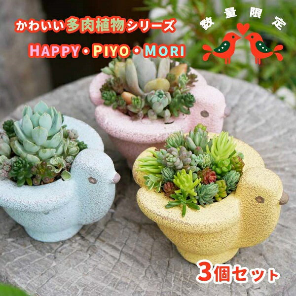 【ふるさと納税】 東北最大級のガーデニング専門店 厳選 かわいい 多肉植物 シリーズ 数量限定 おすすめ 『HAPPY PIYOMORI～ハッピーピヨモリ～』 3個 セット 花工房らら倶楽部 ／ 寄せ植え 蜂 ポット 小鳥 インテリア メルヘン 癒し系 国産 岩手県 雫石町 産地直送 送料無料