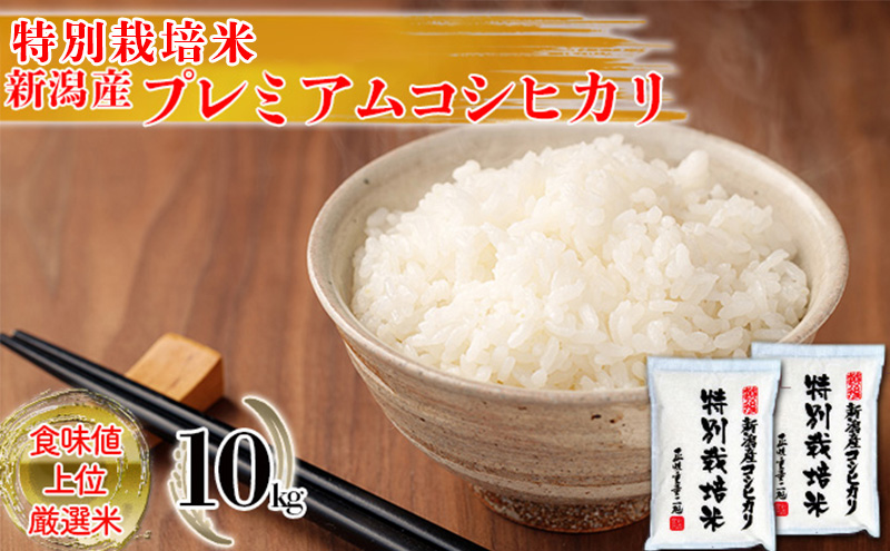 特別栽培米 新潟産コシヒカリ白米 10kg（5kg×2）