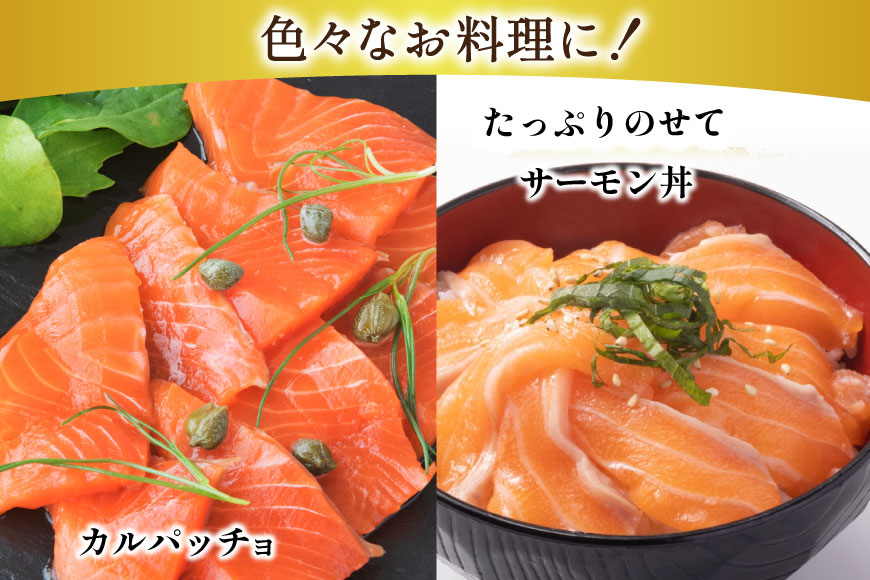 訳あり サーモン 切り落とし おさしみ用 1.5kg 300gx5p 無添加 [足利本店 宮城県 気仙沼市 20565608] 魚介類 鮭 お刺し身 刺し身 刺身 個包装 チリ銀鮭 銀鮭 海鮮 海鮮丼