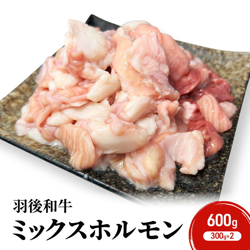 【ふるさと納税】秋田県 羽後町産 羽後和牛 ミックスホルモン 600g （300g×2）【 焼肉 ホルモン BBQ バーベキュー キャンプ 】