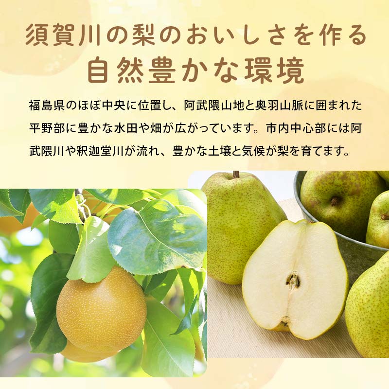 阿部農縁 福島県の和梨 甘くて水分豊富な旬のなし 幸水2kg(6