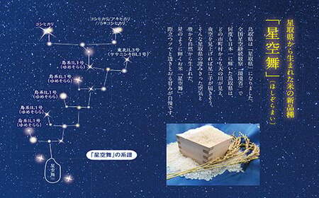 令和7年産　星空舞　10kg（5kg×2袋）