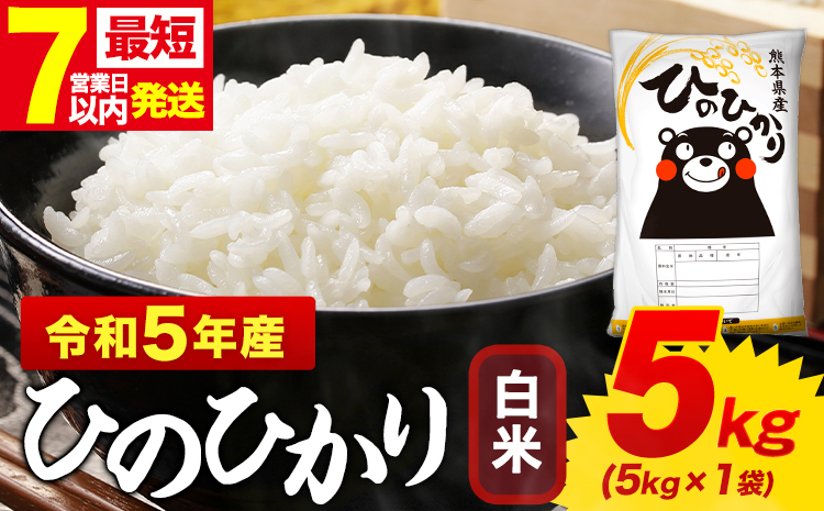 白米 ひのひかり 5kg 令和5年産  熊本県産 ふるさと納税  白米 精米 ひの 米 こめ ふるさとのうぜい ヒノヒカリ コメ お米 おこめ---mf_hn5_wx_24_9500_5kg_h---