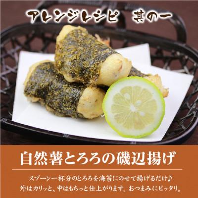 ふるさと納税 小田原市 自然薯生とろろ 5パックセット(100g×5p)　味付無・小分け・冷凍 |  | 02