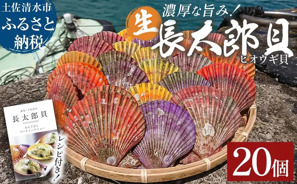 ヒオウギ貝22個セット 高知県土佐清水  (ホタテの仲間・アウトドアBBQ)