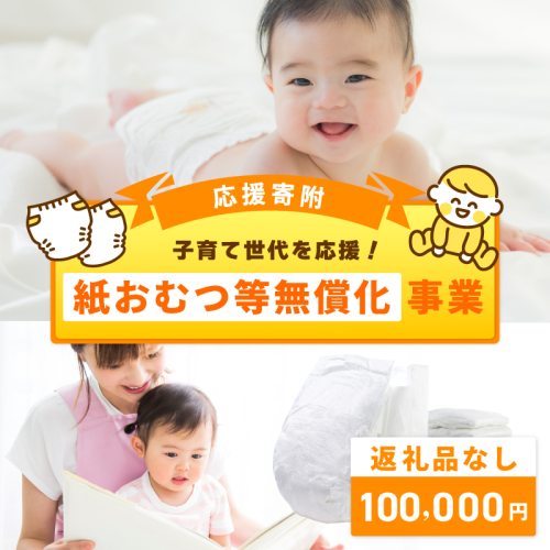 【返礼品なし】子育て世代を応援！紙おむつ等無償化応援寄附（大阪府泉佐野市）　 ON0020
