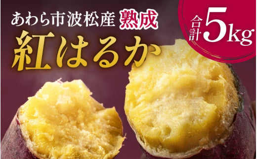 【先行予約】あわら市波松産 紅はるか 5kg / 厳選 不揃い さつまいも 土付き 熟成 焼き芋 福井県 薩摩芋 密芋 スイートポテト しっとり ほっくり 自然のスイーツ 極甘 農研機構許諾済 メディ