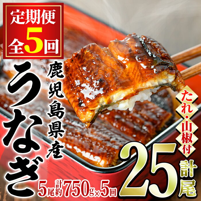 【ふるさと納税】＜定期便・全5回＞東串良町のうなぎ蒲焼(無頭)(5尾・計約750g・タレ、山椒付×5回)うなぎ 高級 ウナギ 鰻 国産 蒲焼 蒲焼き たれ 鹿児島 ふるさと 人気【アクアおおすみ】【150041】