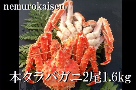 [12月21日決済分まで年内配送]【北海道根室産】本タラバガニ2尾（計1.6kg前後） D-57049