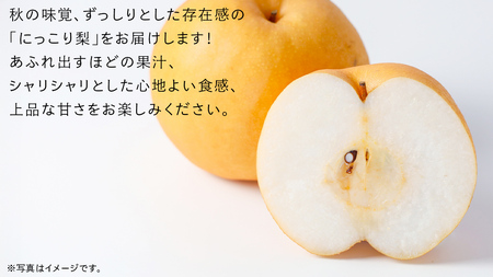 にっこり 梨 10kg （16～20玉）【2026年10月より発送開始】（茨城県共通返礼品 [梨]：大子町産）
