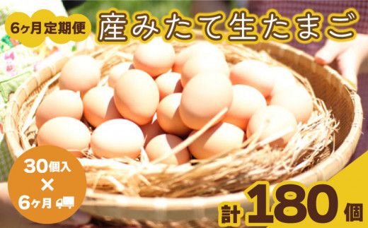 
たまご 卵 定期便 6ヶ月 分 30個 × 6ヶ月 計 180個 ( 26個 ＋ 割れ保障 4個 ) ×6ヶ月分 玉子 産みたて 国産 新鮮 卵かけご飯 大容量 生 卵 鶏 天然 すき焼き 目玉 焼き 下関 豊北 山口
