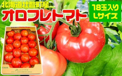 
            ＜2026年3月上旬より順次お届け＞北海道壮瞥産 オロフレトマト18玉入り（Lサイズ）【 ふるさと納税 人気 おすすめ ランキング 北海道 壮瞥 オロフレトマト 野菜 トマト 産地直送 夏 旬 旬の野菜 とまと 季節商品 贈り物 贈物 贈答 ギフト 大容量 詰合せ セット 北海道 壮瞥町 送料無料 SBTA029
          