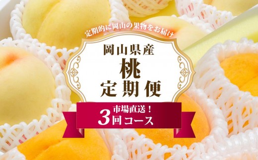 フルーツ 定期便 2027年 岡山 の 桃 食べ比べ 定期便 3回コース もも モモ 岡山県産 国産 フルーツ 果物 セット ギフト