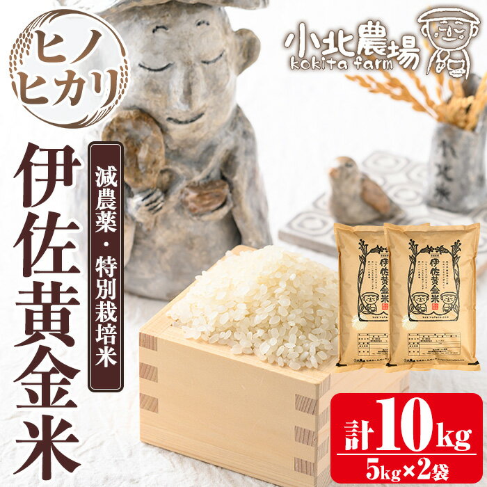 【ふるさと納税】《数量限定》小北農場のお米 伊佐黄金米〈ヒノヒカリ〉(10kg) 鹿児島 伊佐 お米 特別栽培米 伊佐米 白米 ヒノヒカリ ひのひかり おにぎり ごはん 【小北農場】