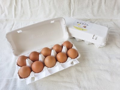 平飼い有精卵（あそぼらん) 30個