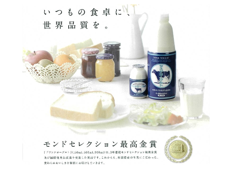 【10ヶ月定期便】ヤスダヨーグルト 食べるヨーグルト アレンジ名人セットA プレーンヨーグルト 600g×4個 パウチ 無添加 搾りたて こだわり生乳100％ 濃厚 1B81061