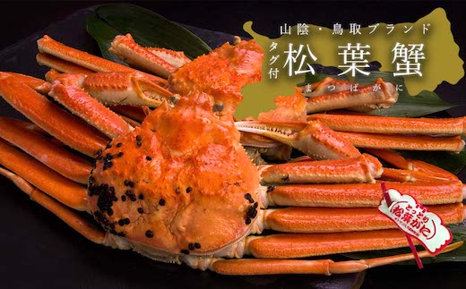 【蒸し】タグ付き松葉ガニ　中　2枚(500～640g前後/枚)