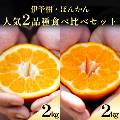 【ふるさと納税】伊予柑+ぽんかん 愛媛人気2品種食べ比べ【各2kg】【D70-132】【1684431】