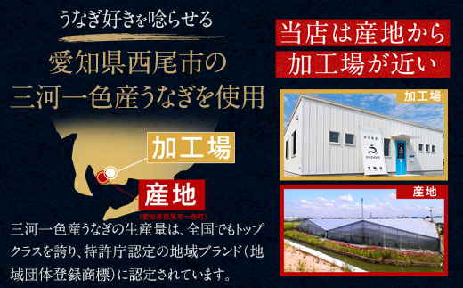 三河一色産うなぎ蒲焼特大4尾(計640g以上)・R044