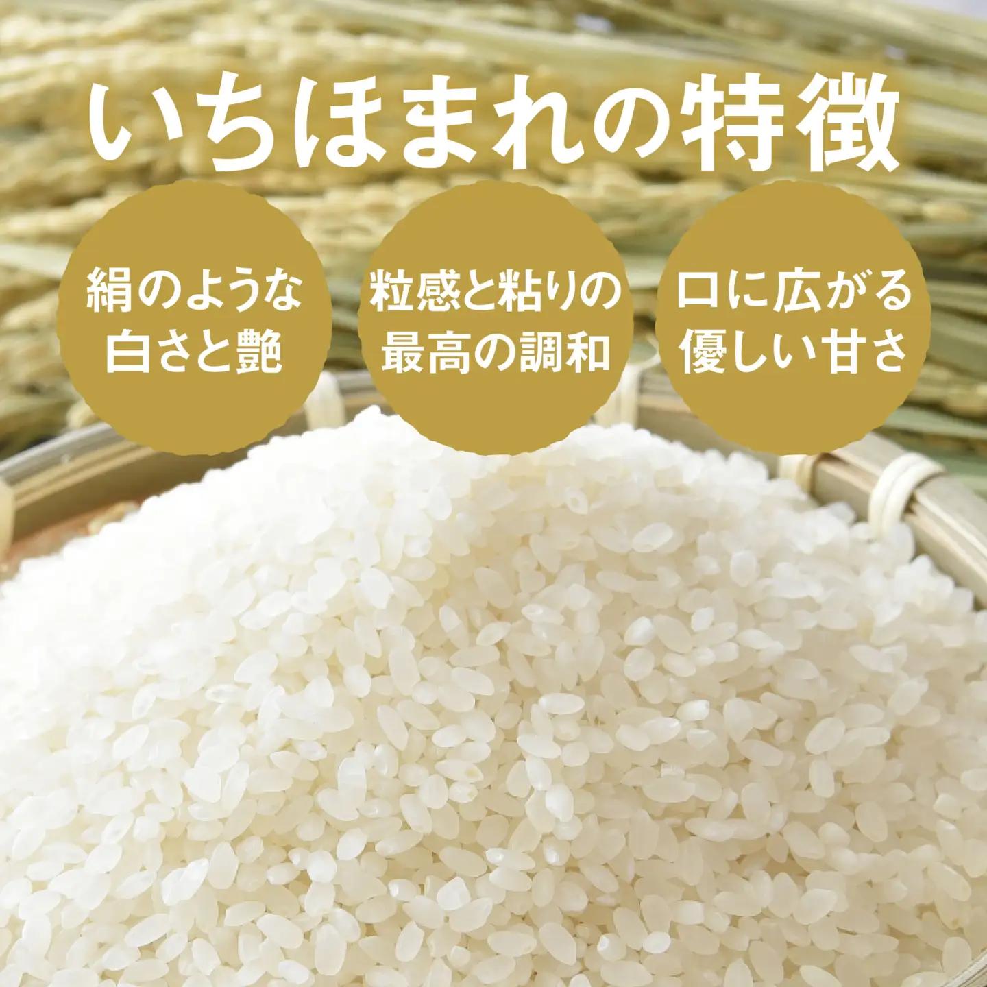 令和7年産 いちほまれ 無洗米 5kg(5kg×4袋) ブランド米 白米 [F-014011]