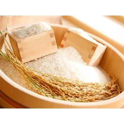 ふるさと納税 近江八幡市 【令和7年産】冷めても美味しいあっさりとした味わい「みずかがみ」白米10kg |  | 01