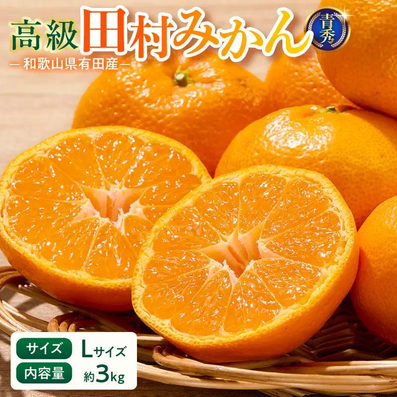 【2026年先行予約】「高級 田村みかん」 青秀 約3kg Lサイズ 和歌山県有田産 有田みかん_U6240n