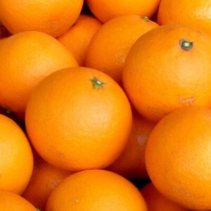 清見オレンジ[約8kg]和歌山県有田産春みかん(果実サイズおまかせ)【1223504】