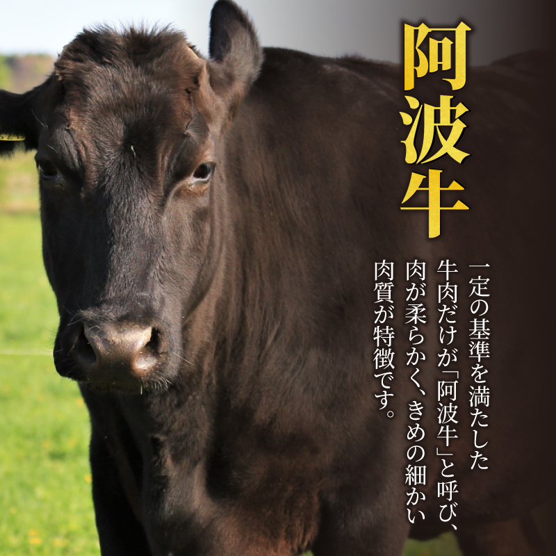 阿波牛 焼肉用（モモ・カルビ）500g ふるさと納税 阿波牛 ブランド和牛 部位 国産 和牛 冷凍 モモ肉 赤身 焼肉 焼き肉 国産黒毛和牛 小松島市