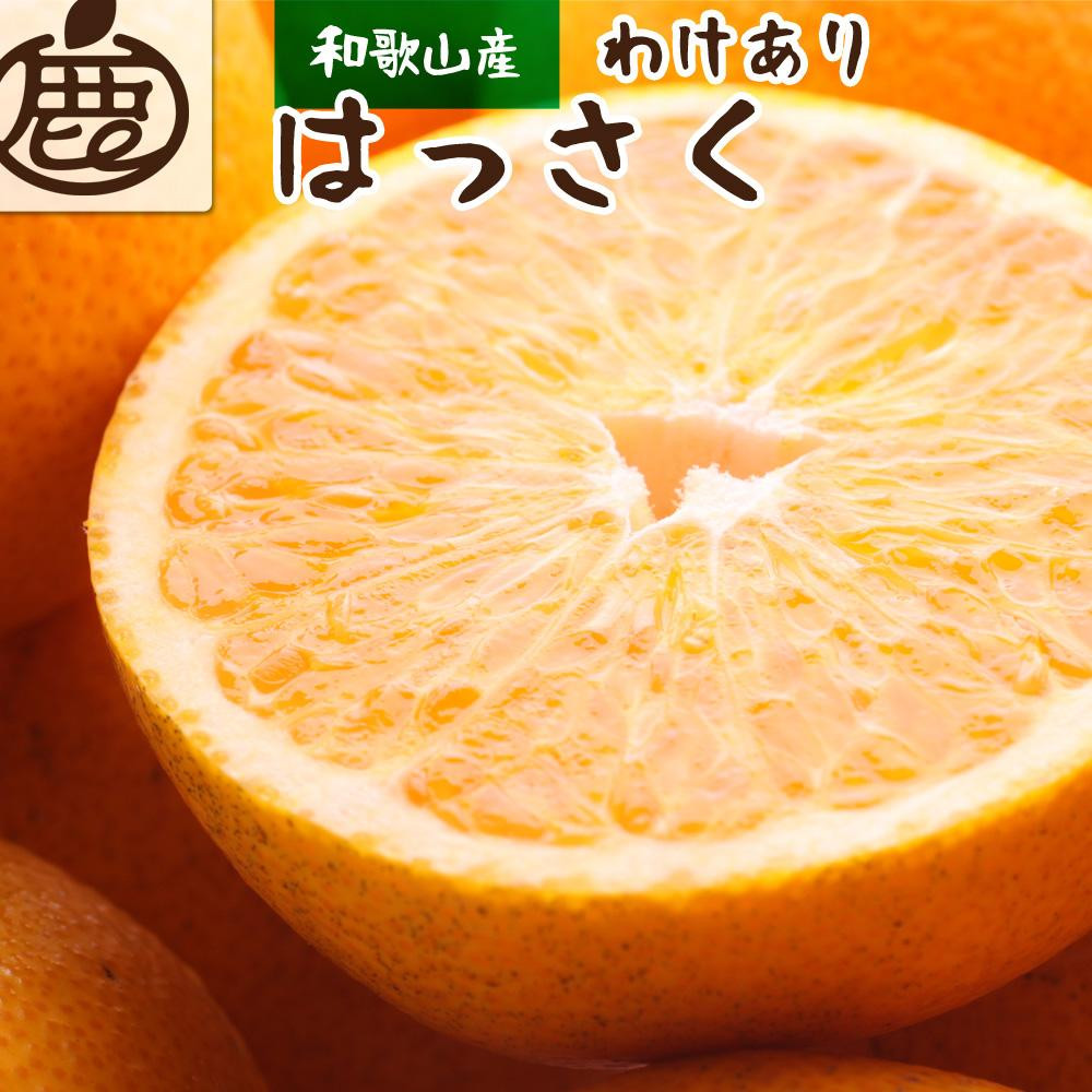 
            ［先行予約］家庭用 はっさく5kg+250g（傷み補償分）【八朔みかん】【訳あり・わけあり】［IKE29］
          