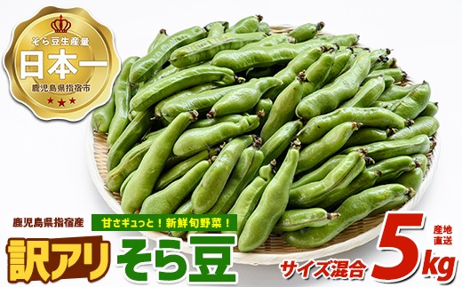 ＜2027年3月上旬以降発送＞【産地直送！新鮮旬野菜！】ご家庭用そら豆約5kg(指宿促成青果/IB092-005)鹿児島 そら豆 ソラマメ さや付き 野菜 豆 ご家庭用 指宿市