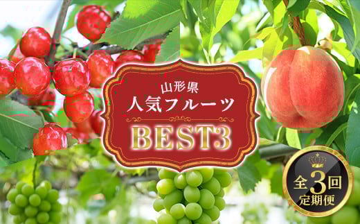 【2026年発送先行予約】山形県人気フルーツベスト3 全3回定期便 FSY-2341
