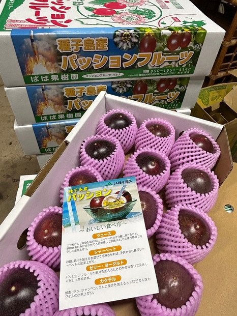 
            種子島産 パッションフルーツ 約2kg（約20個前後）
          