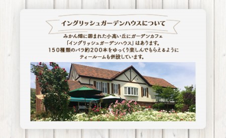 人気ローズガーデンの手搾りみかん・水晶文旦ジュース - 送料無料 濃縮還元 飲み物 フルーツ 果物好き のし プレゼント ギフト ジュース大好き お歳暮 御歳暮 贈答用 贈り物 クリスマス 年末年始 