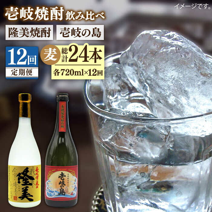 【ふるさと納税】【全12回定期便】隆美焼酎と壱岐の島 25度 720ml 2本入りセット 《壱岐市》【天下御免】[JDB230]