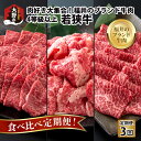 【ふるさと納税】【肉の定期便×3回コース】 肉好き大集合！若狭牛 食べ比べ定期便！ [E-054003]|焼肉 すき焼き 切落し 国産 牛肉 モモ 肩 バラ 4等級以上 サシ とろける 甘み お取り寄せ 最高級 冷凍 パック 小分け 送料無料