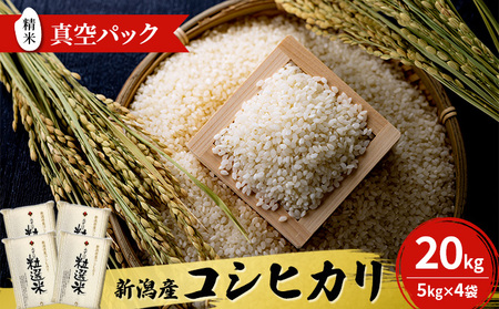 新潟産コシヒカリ精米20kg真空パック（5kg×4袋） 米 コメ こめ お米 おこめ 白米 精米 コシヒカリ こしひかり 20kg ご飯 ごはん 新潟 