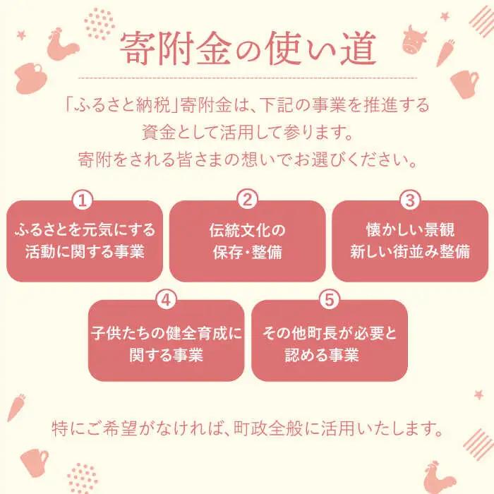 【返礼品なし】長崎県波佐見町 ふるさとづくり応援寄附金（5,000円分）[FB73]