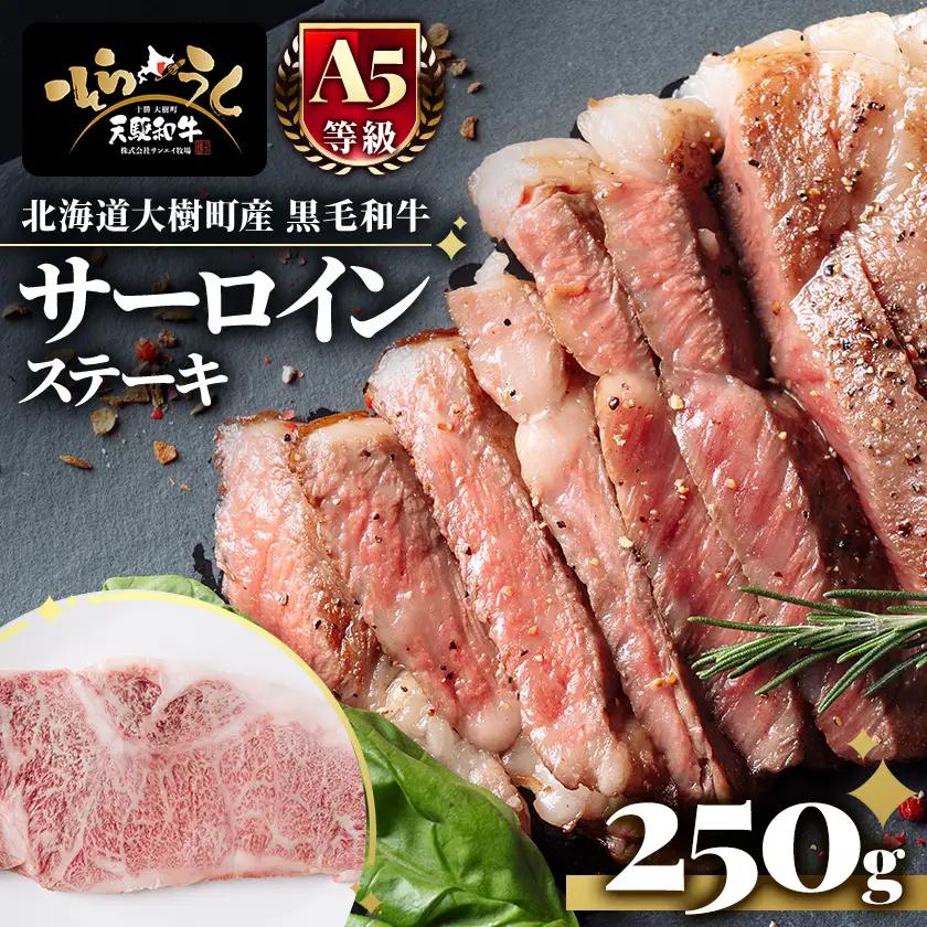 大樹町産黒毛和牛「天駆牛(そらうし)」サーロインステーキ 250g【配送不可地域：離島】【1722135】