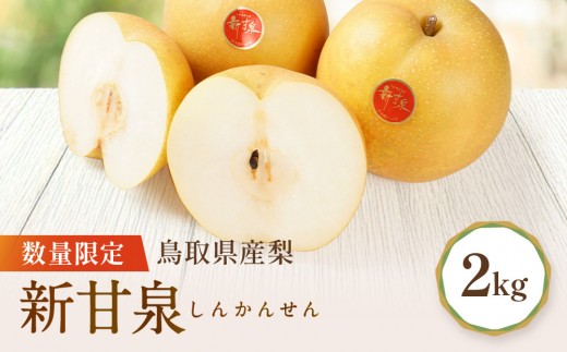 【先行予約】数量限定 鳥取県産梨 新甘泉 約2kg 梨 梨2kg 新甘泉2kg 鳥取県産梨 国産梨新甘泉 鳥取 先行予約 梨先行予約 新鮮 旬 フルーツ 果物 くだもの 人気 おすすめ 鳥取県 鳥取 琴浦町