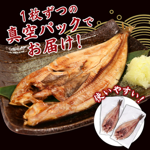 【ほっけ】 ほっけ 一夜干し 9尾 約2.5kg