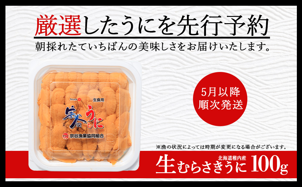 【うにの名産地稚内市】最北端の生むらさきうに(100g×1)　