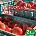 【ふるさと納税】リコピンたっぷり完熟トマト　2kg 送料無料 福井県 越前市 とまと 野菜（18209）