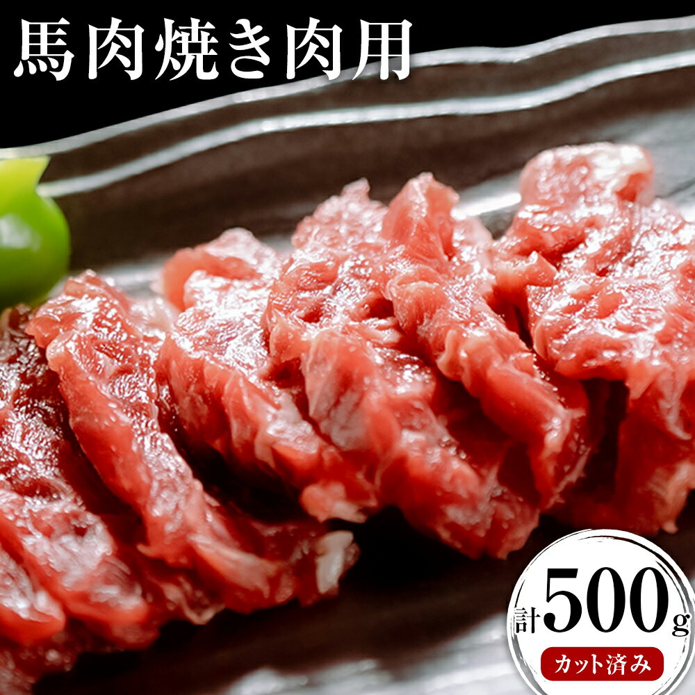 【ふるさと納税】馬肉焼肉用 500g カット済 桜屋 《30日以内に出荷予定(土日祝除く)》熊本県 南阿蘇村 送料無料 肉 馬肉 焼肉
