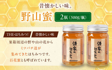 はちみつ 野山蜜 500g ×2本 [AJAS005] はちみつ 国産