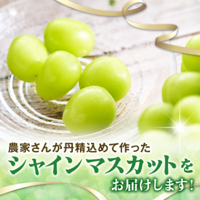 【2026年先行受付】やみつきシャインマスカット 2kg(3～5房)【配送不可地域：離島】