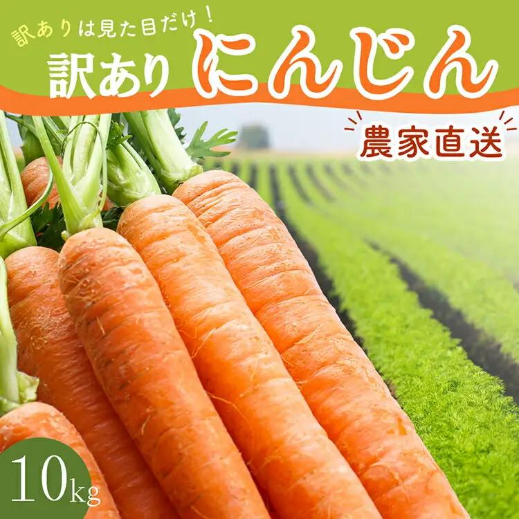 BH052 人参 訳あり 堀農園のこだわり人参 約10kg