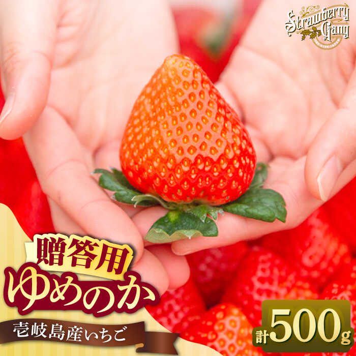 【ふるさと納税】【贈答用】 ゆめのか 約250g×2パック 《壱岐市》【Strawberry Gang】[JEM005] セット いちご イチゴ 苺 果物 フルーツ スムージー プレゼント ギフト