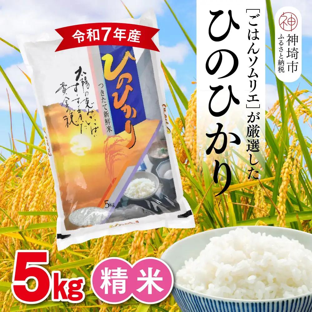 【令和7年産】ごはんソムリエが厳選 白米 ひのひかり 5kg(H063163)