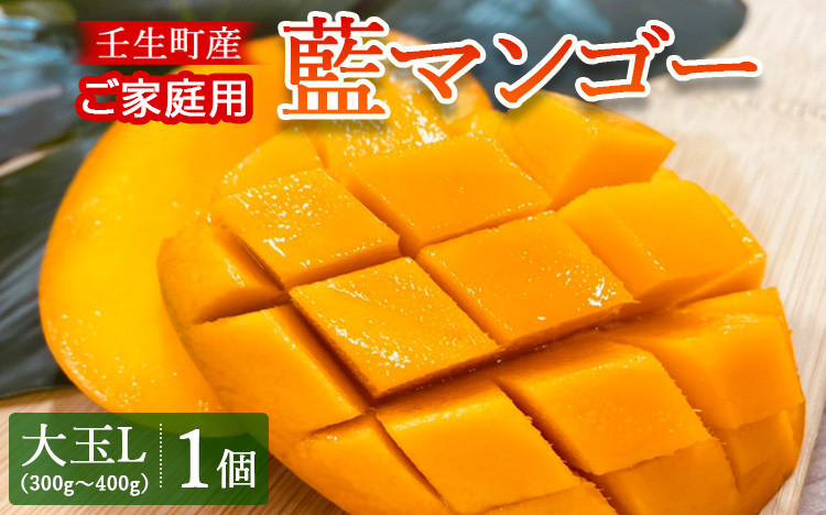 
                  壬生町産家庭用藍マンゴー 大玉L（300g～400g）1個 | マンゴー フルーツ 果物 くだもの 国産 栃木県 壬生町
※2026年7月～発送
                